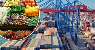 الصادرات الزراعية المصرية