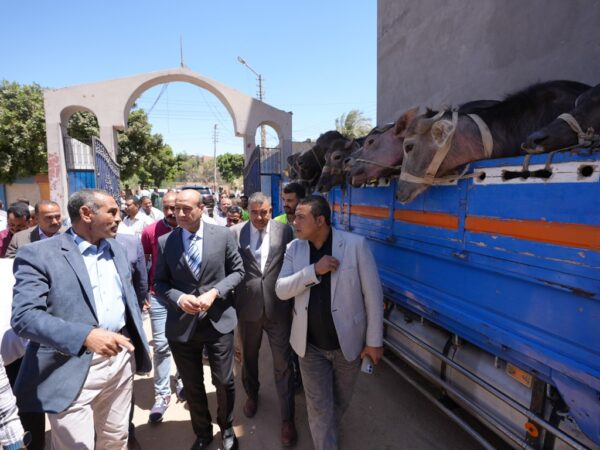 مشروع البيوجاز بأسيوط