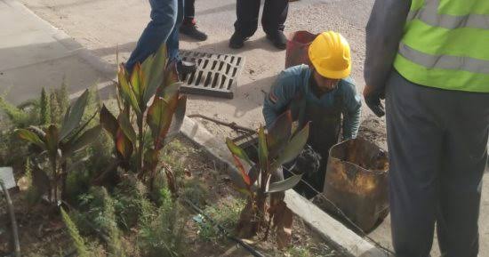 تطوير شبكات الصرف الصحي بالقاهرة